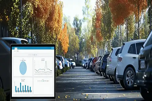 How to Set Up Local Database Parking Control?